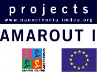 AMAROUT I-EUROPE